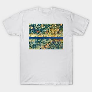 Road through colorful autumn forest T-Shirt